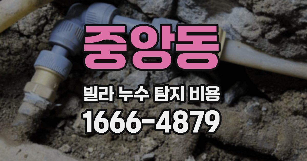 중앙동 빌라 누수 탐지 비용