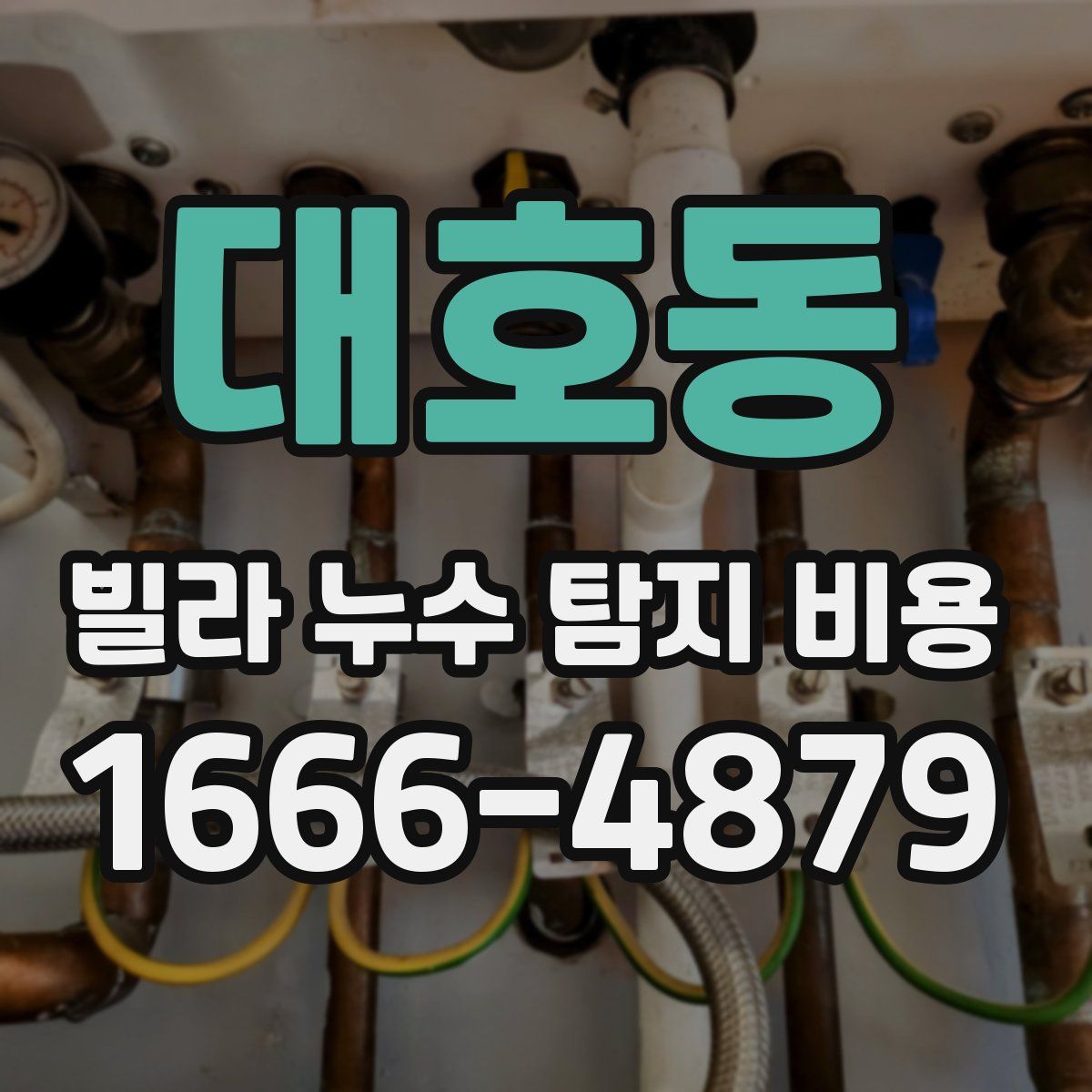 대호동 빌라 누수 탐지 비용