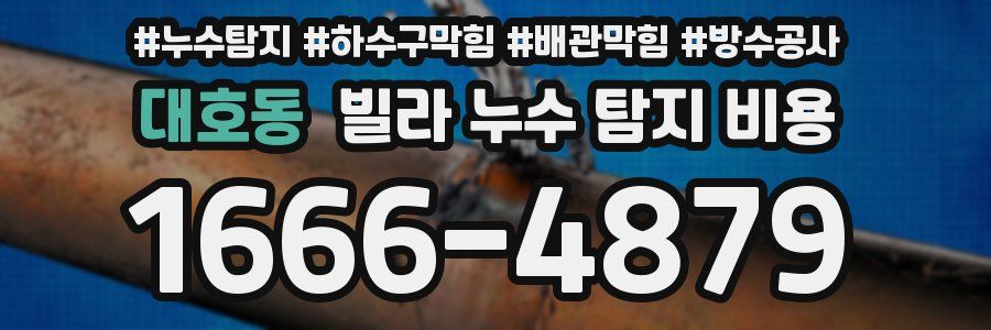 대호동 빌라 누수 탐지 비용