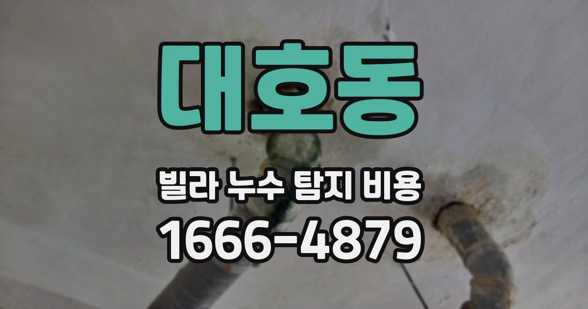 대호동 빌라 누수 탐지 비용