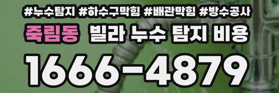 죽림동 빌라 누수 탐지 비용