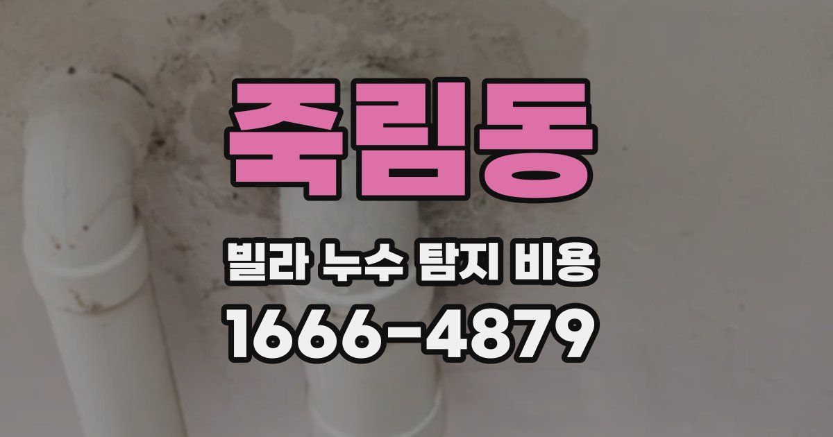죽림동 빌라 누수 탐지 비용