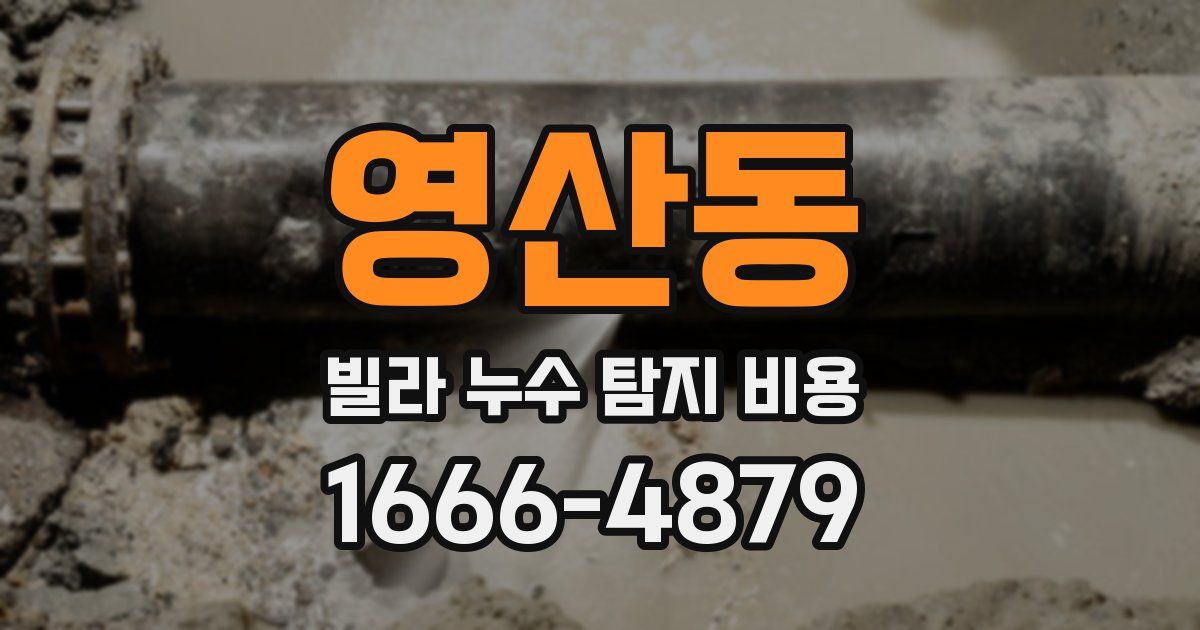 영산동 빌라 누수 탐지 비용