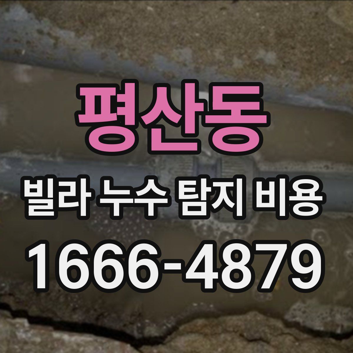 평산동 빌라 누수 탐지 비용