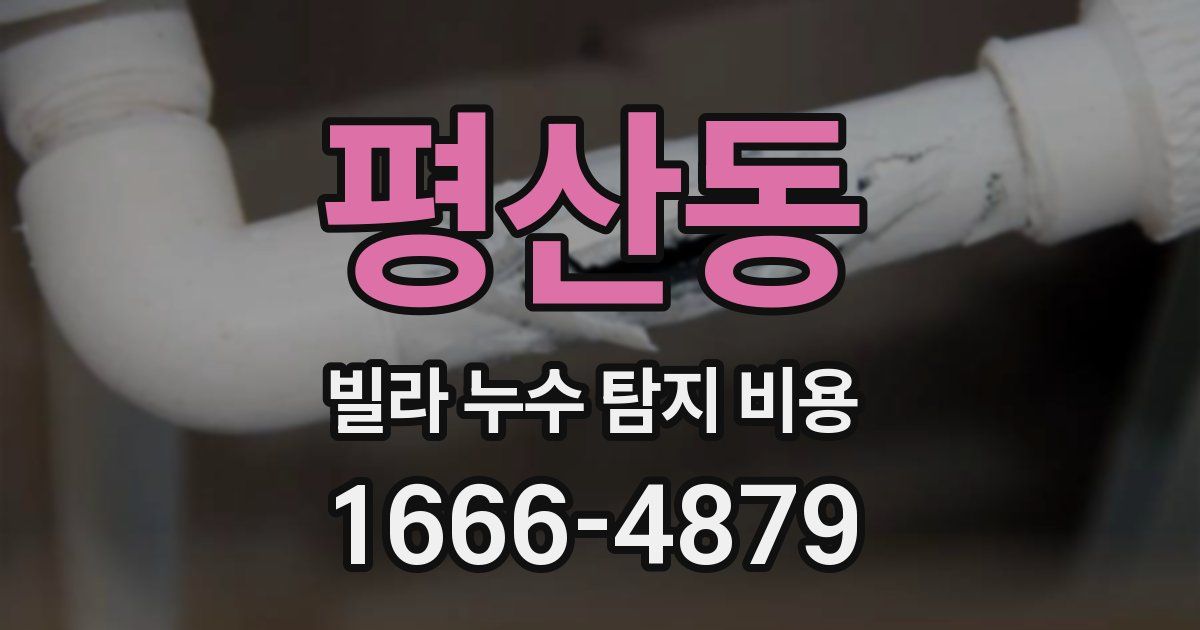 평산동 빌라 누수 탐지 비용