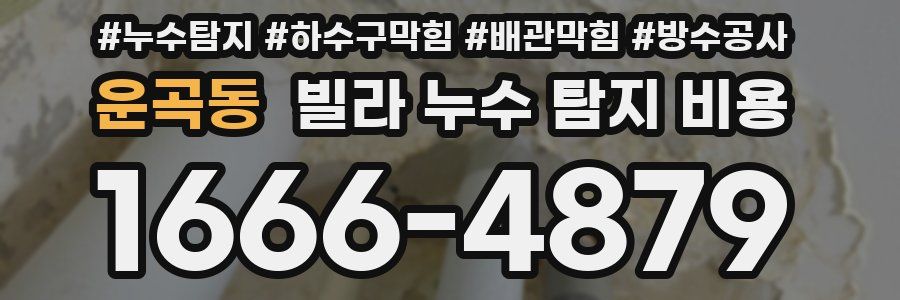 운곡동 빌라 누수 탐지 비용