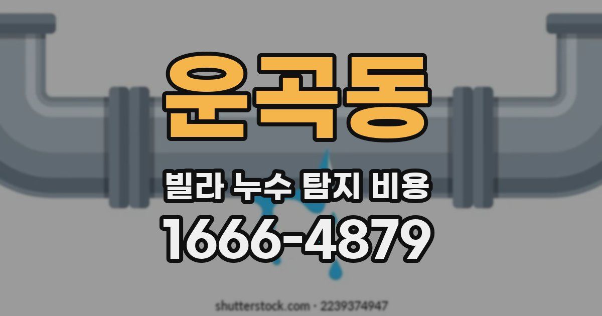운곡동 빌라 누수 탐지 비용