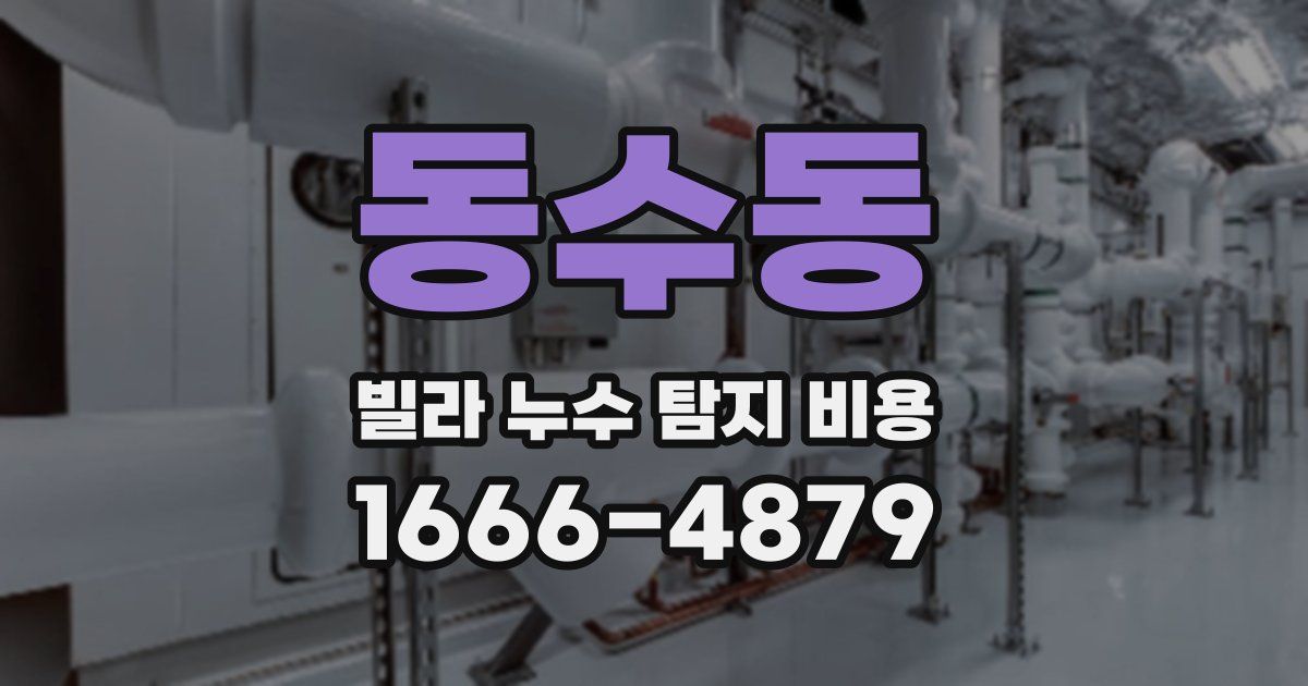 동수동 빌라 누수 탐지 비용