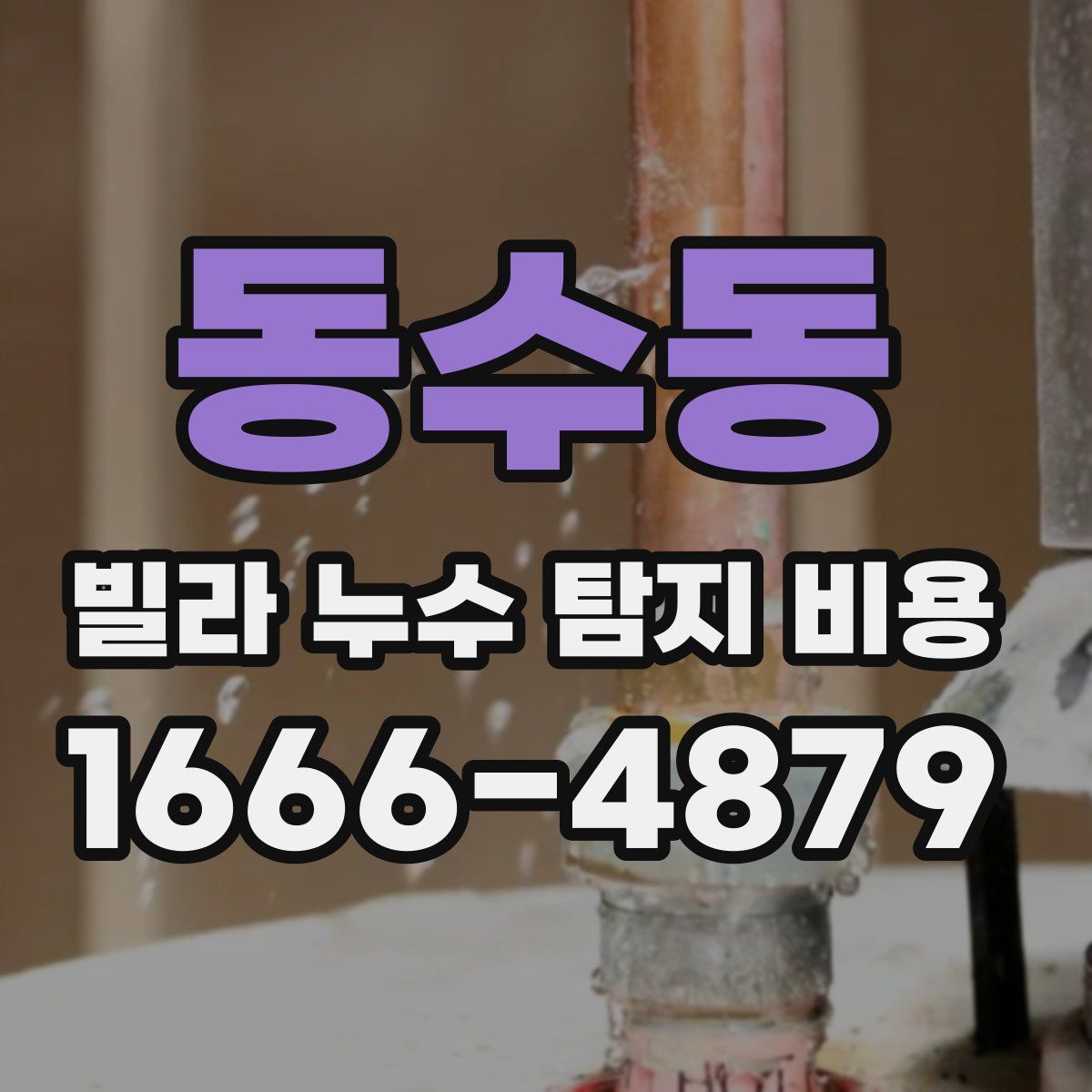 동수동 빌라 누수 탐지 비용