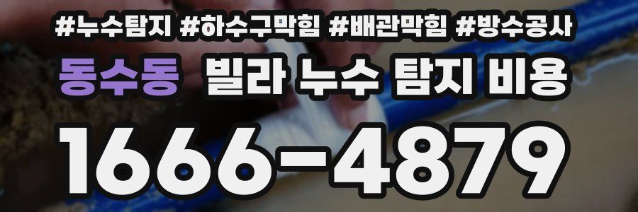 동수동 빌라 누수 탐지 비용