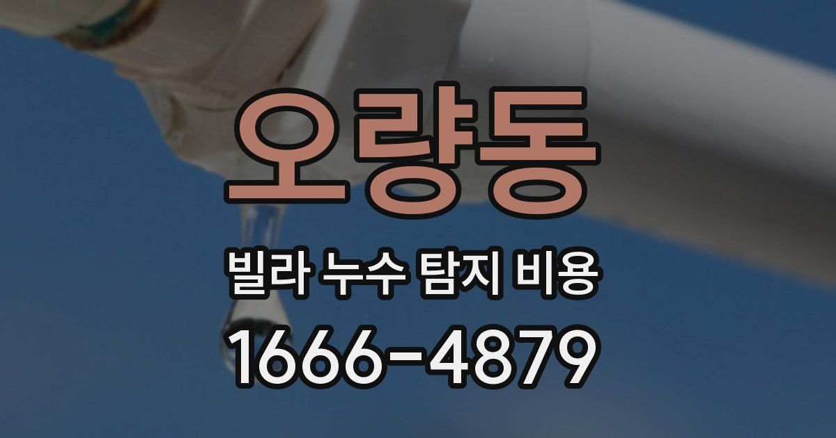 오량동 빌라 누수 탐지 비용