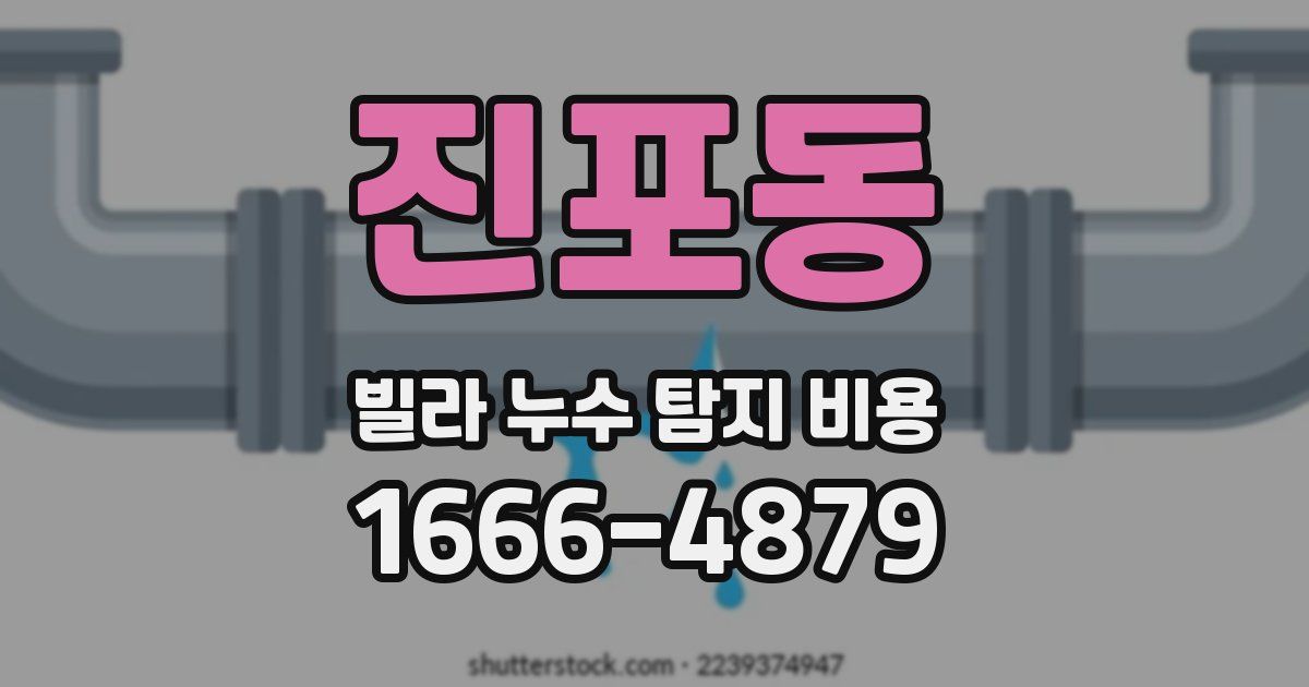 진포동 빌라 누수 탐지 비용