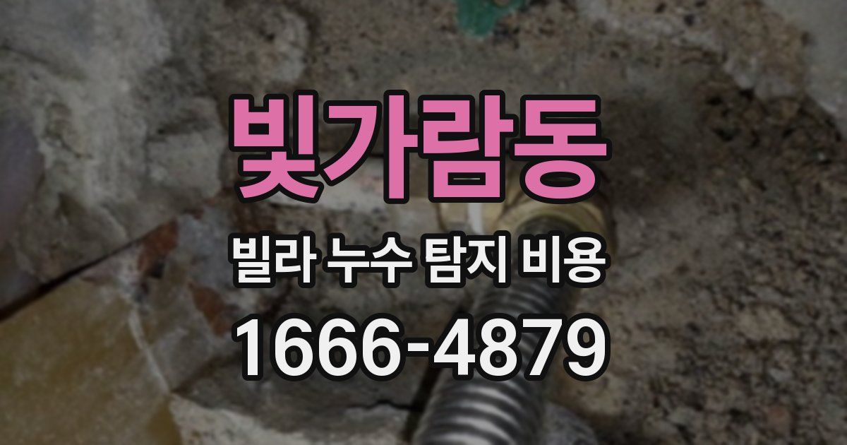 빛가람동 빌라 누수 탐지 비용