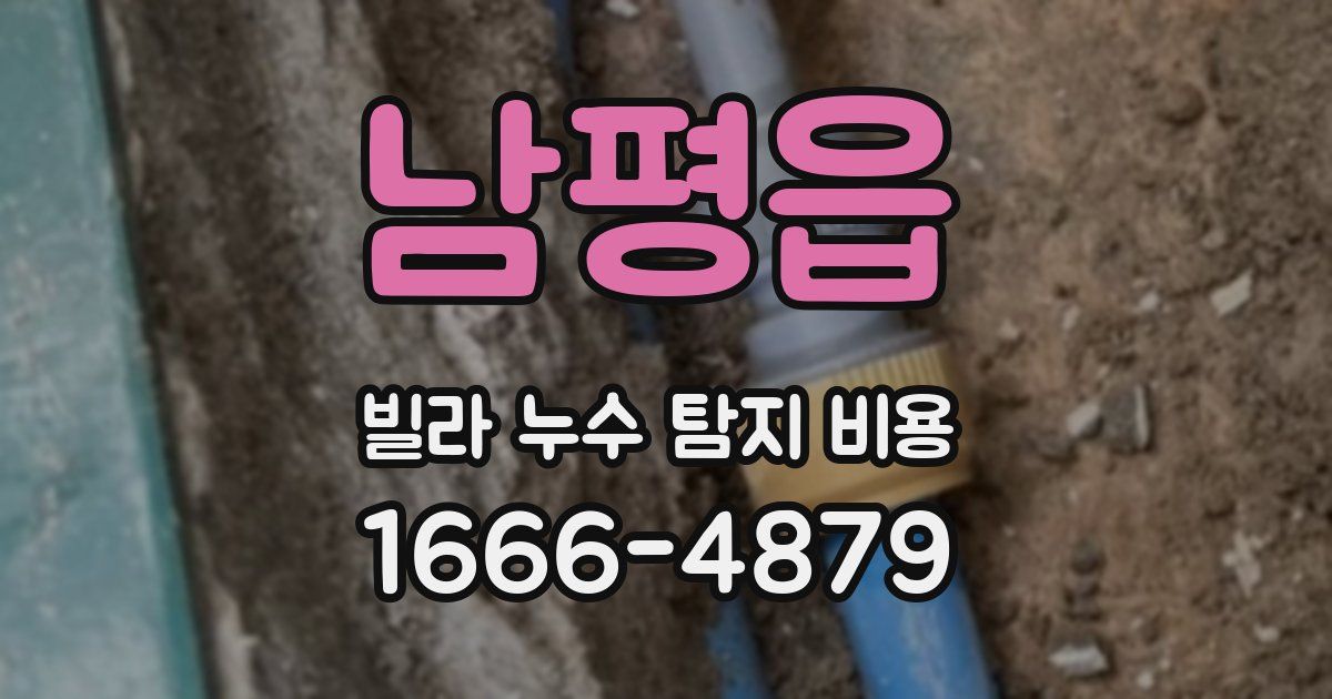 남평읍 빌라 누수 탐지 비용