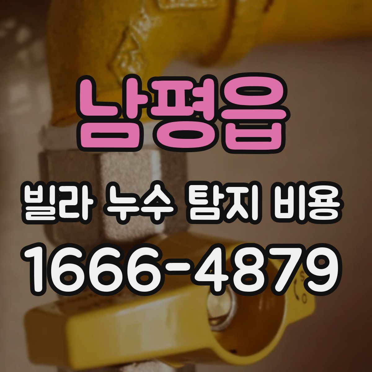 남평읍 빌라 누수 탐지 비용