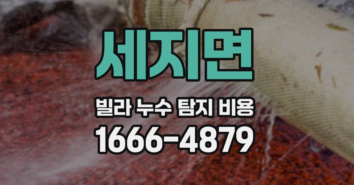 세지면 빌라 누수 탐지 비용