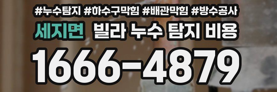 세지면 빌라 누수 탐지 비용