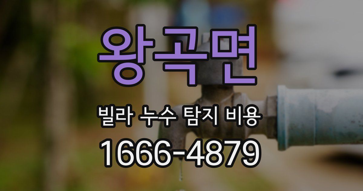 왕곡면 빌라 누수 탐지 비용