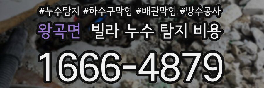 왕곡면 빌라 누수 탐지 비용