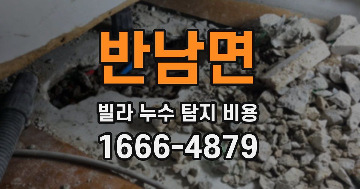 반남면 빌라 누수 탐지 비용