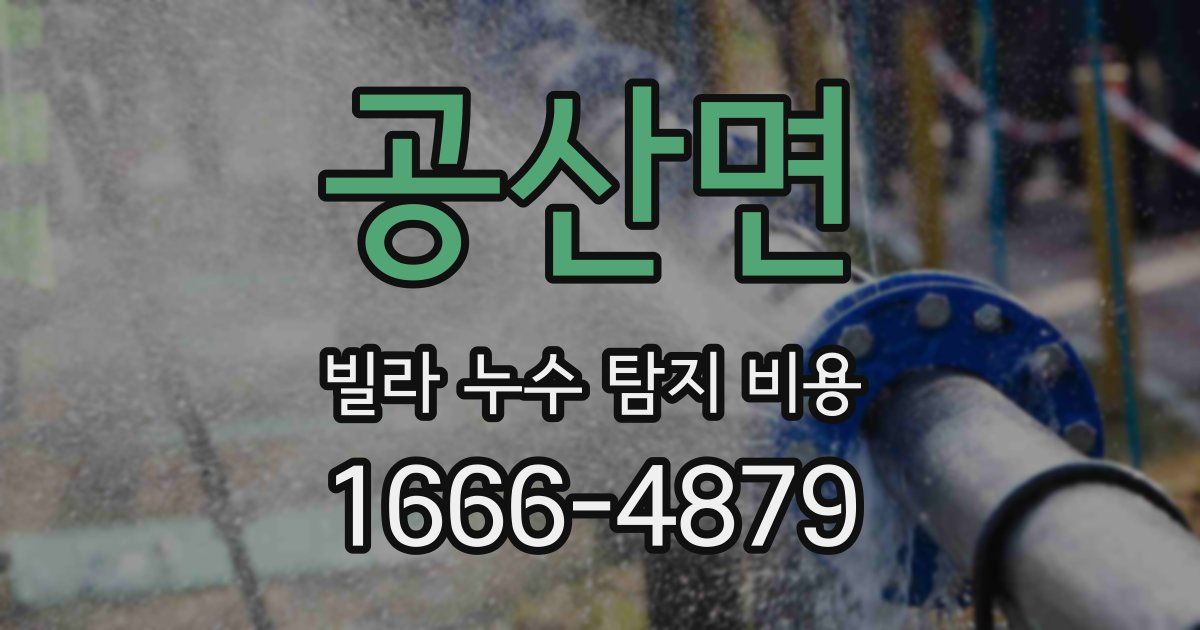 공산면 빌라 누수 탐지 비용