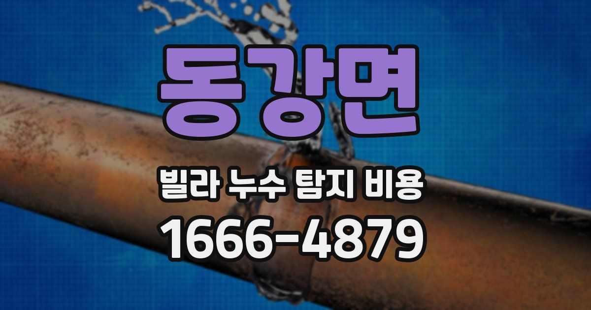 동강면 빌라 누수 탐지 비용