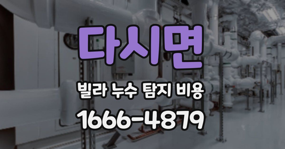 다시면 빌라 누수 탐지 비용