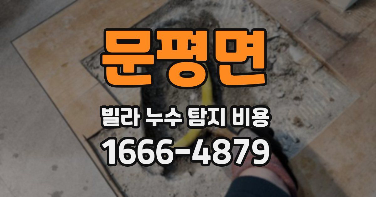 문평면 빌라 누수 탐지 비용