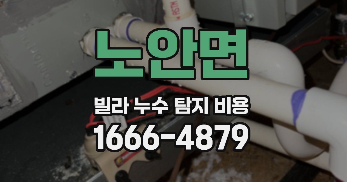 노안면 빌라 누수 탐지 비용