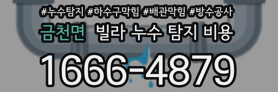 금천면 빌라 누수 탐지 비용