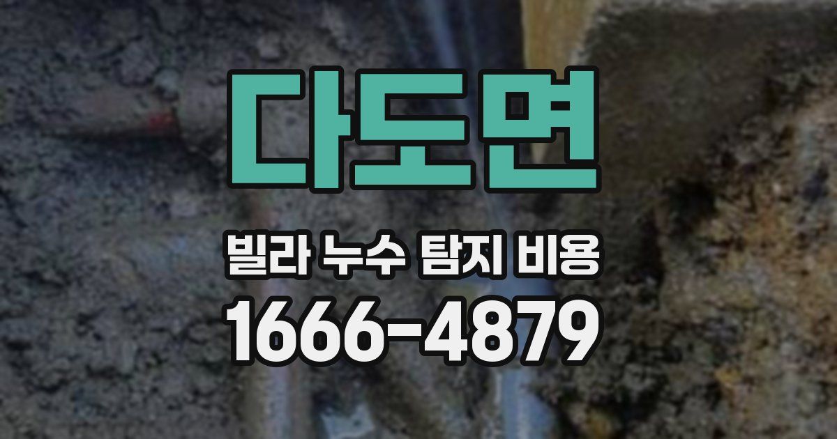 다도면 빌라 누수 탐지 비용