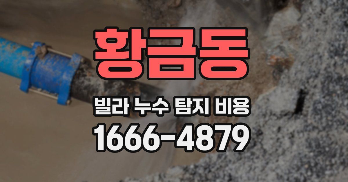 황금동 빌라 누수 탐지 비용