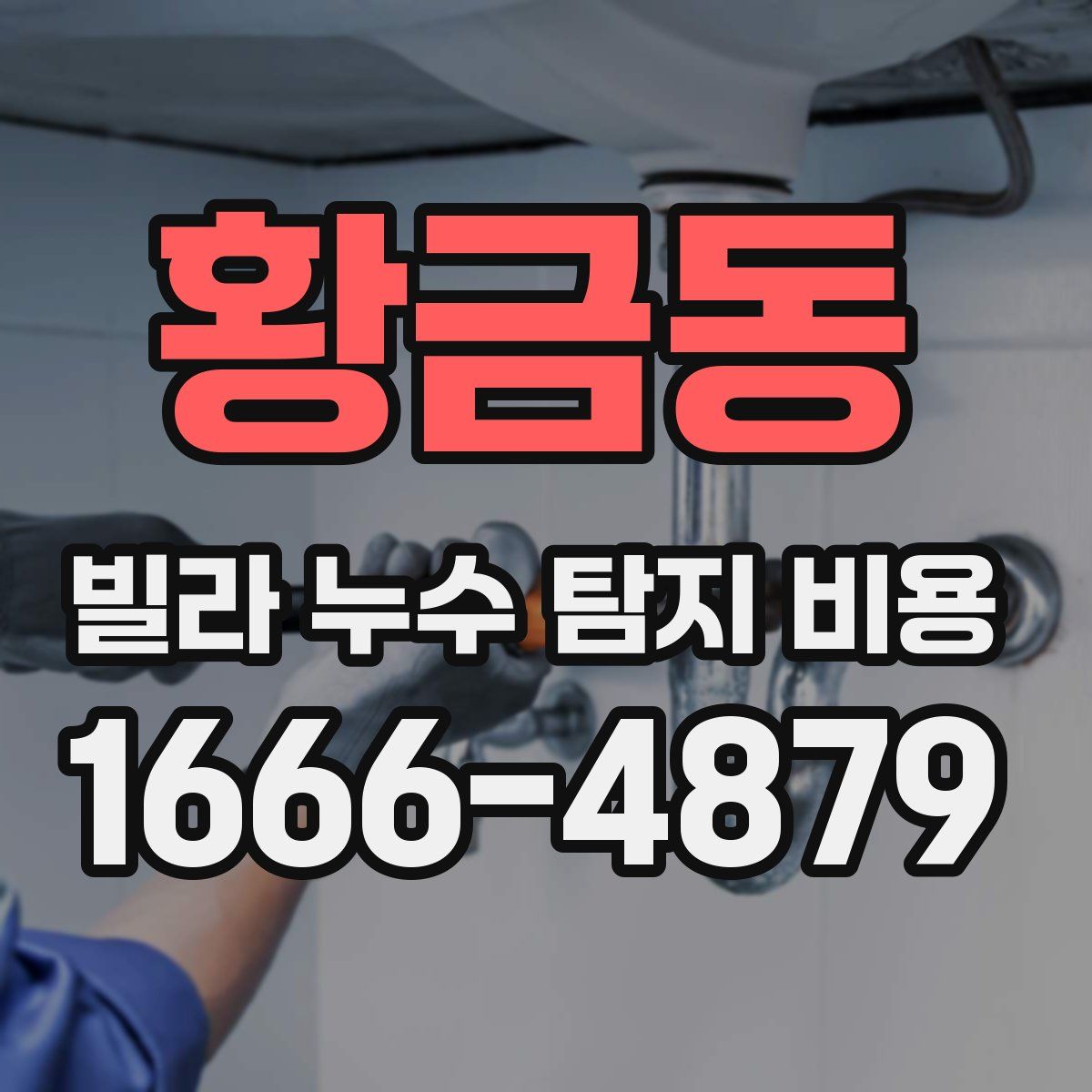 황금동 빌라 누수 탐지 비용