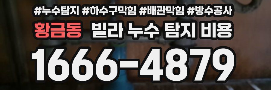 황금동 빌라 누수 탐지 비용