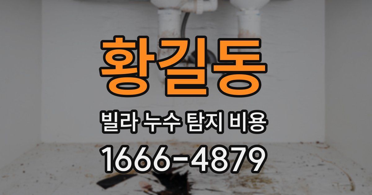 황길동 빌라 누수 탐지 비용