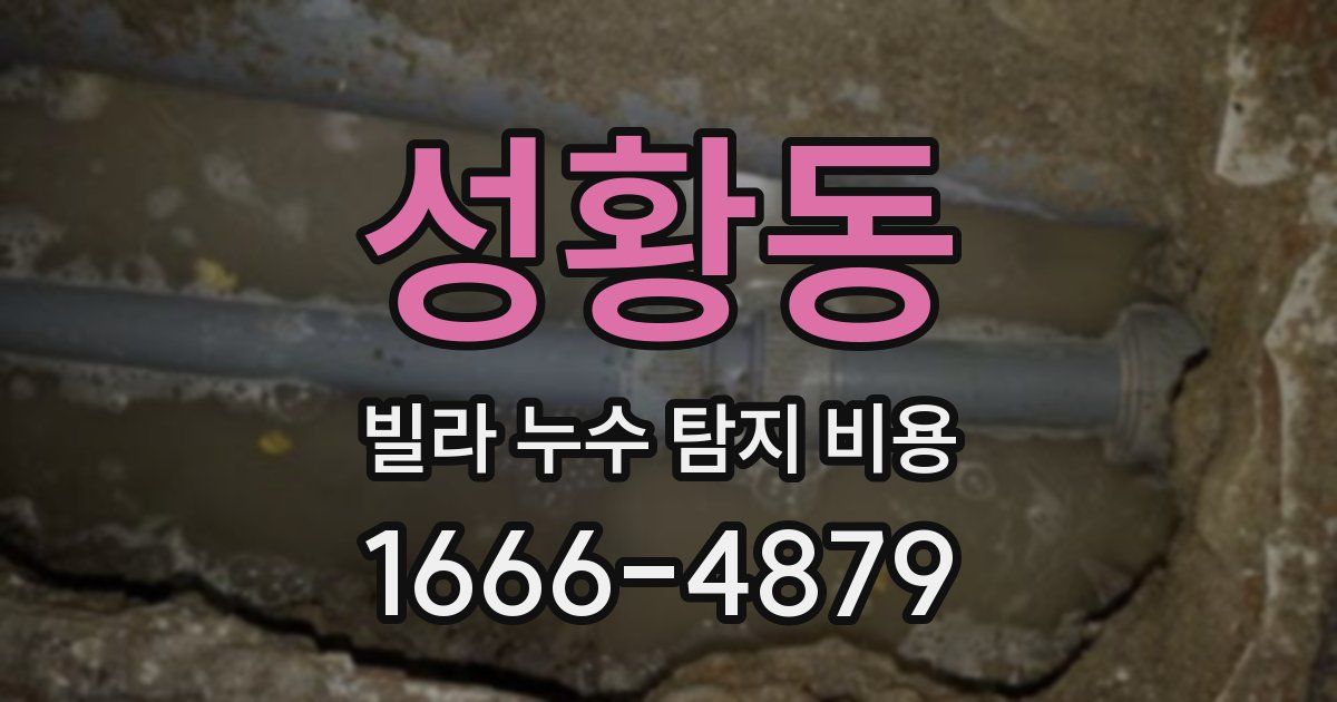 성황동 빌라 누수 탐지 비용