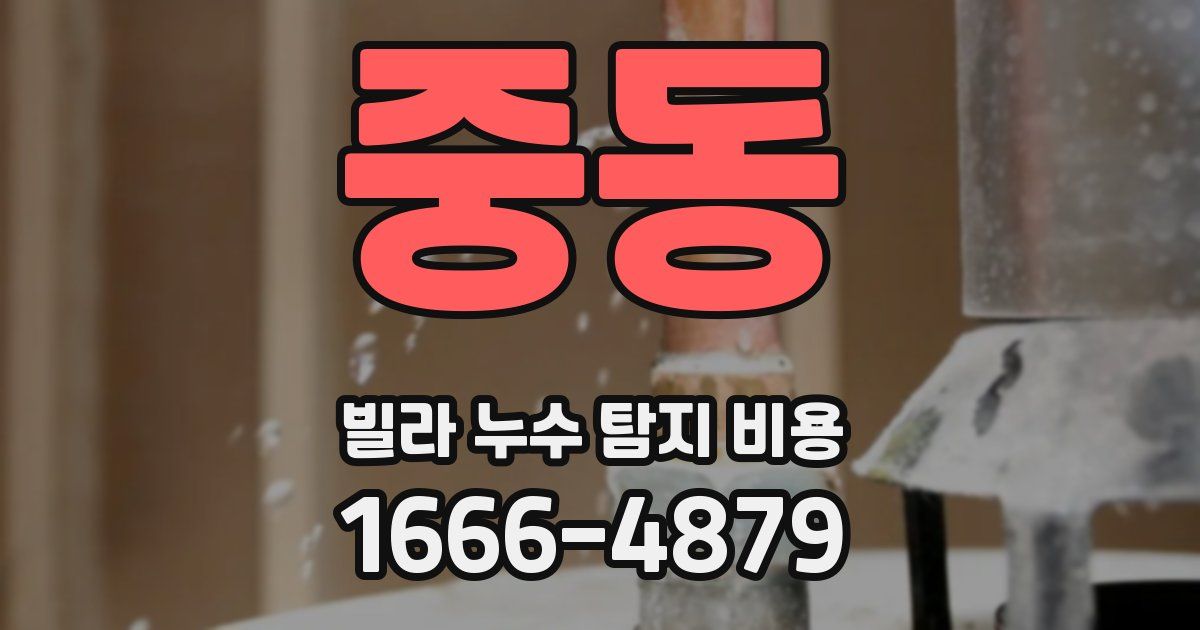 중동 빌라 누수 탐지 비용
