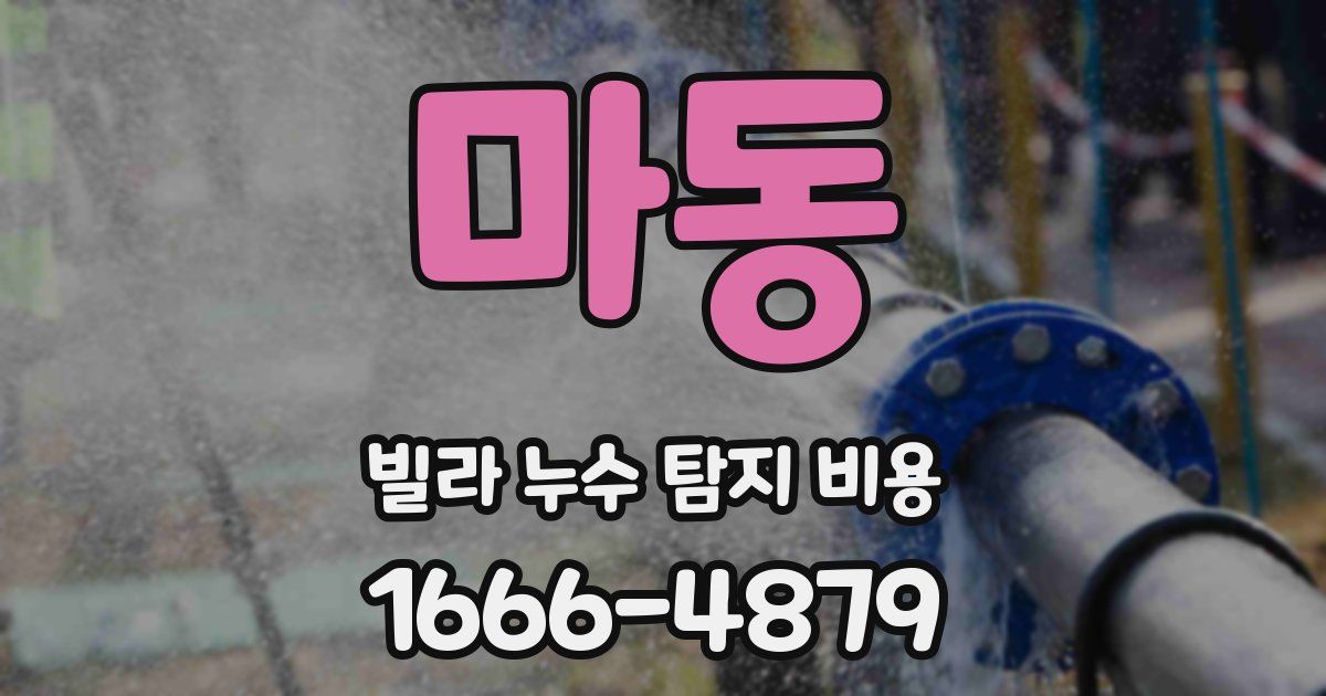 마동 빌라 누수 탐지 비용