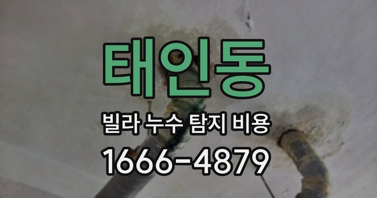 태인동 빌라 누수 탐지 비용