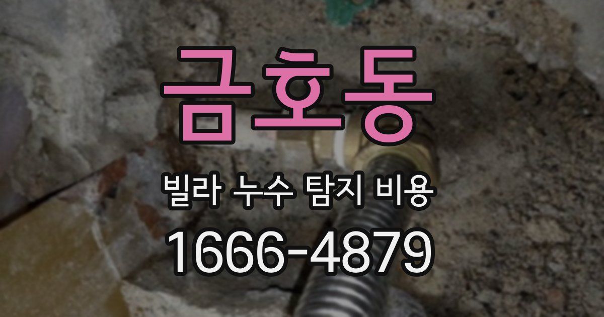 금호동 빌라 누수 탐지 비용