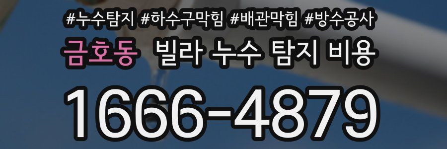 금호동 빌라 누수 탐지 비용
