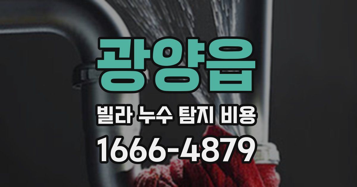 광양읍 빌라 누수 탐지 비용