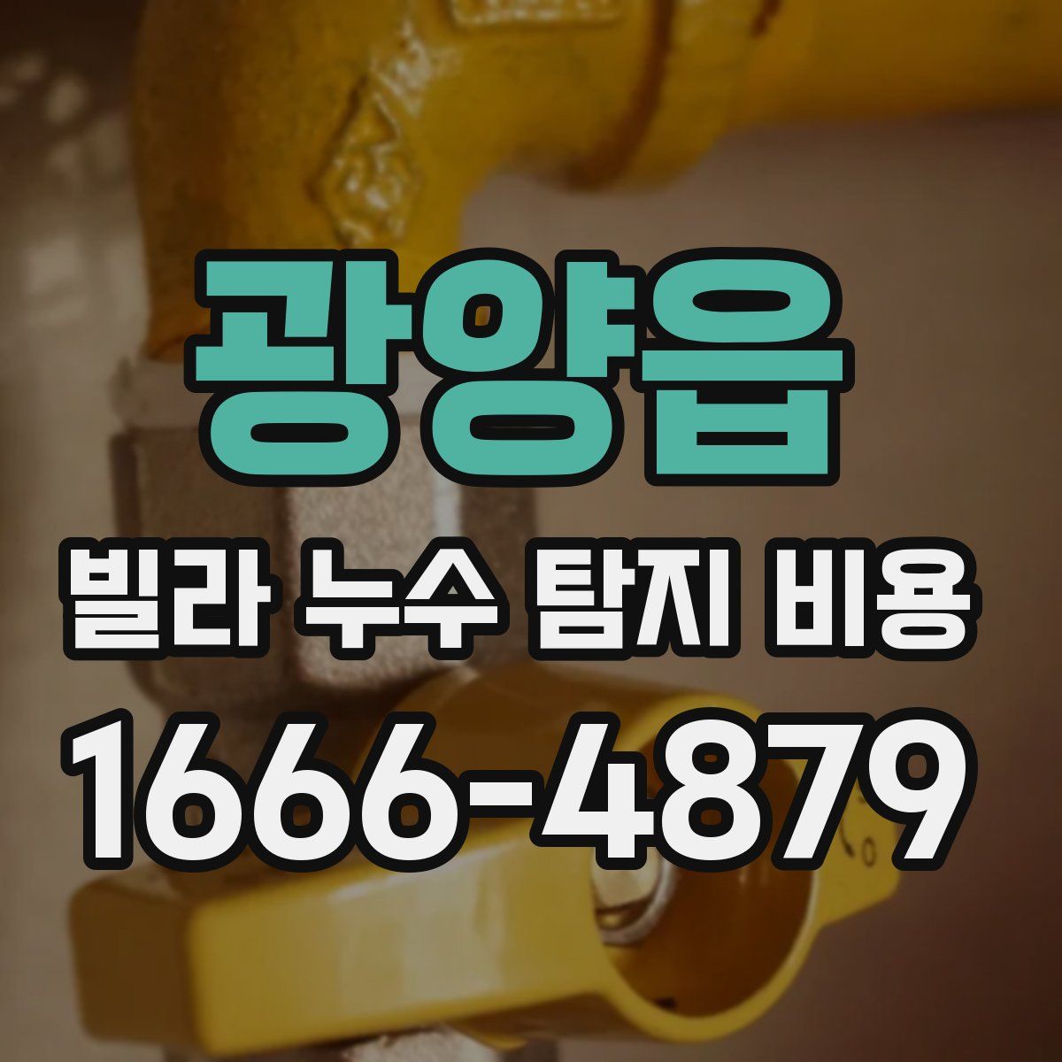 광양읍 빌라 누수 탐지 비용