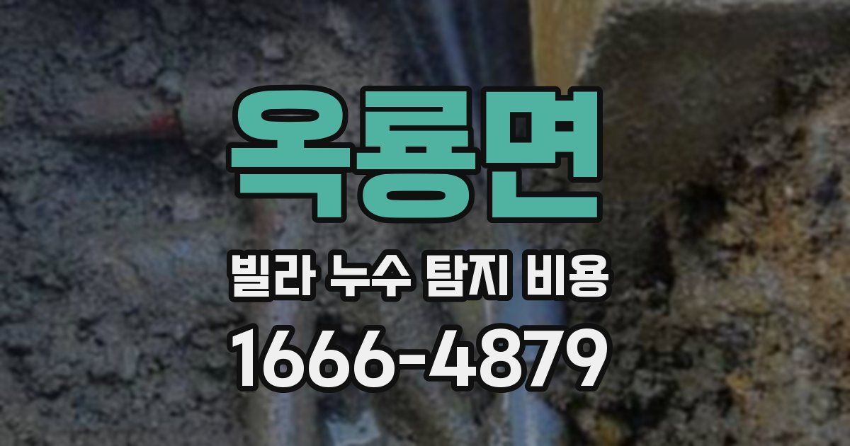 옥룡면 빌라 누수 탐지 비용