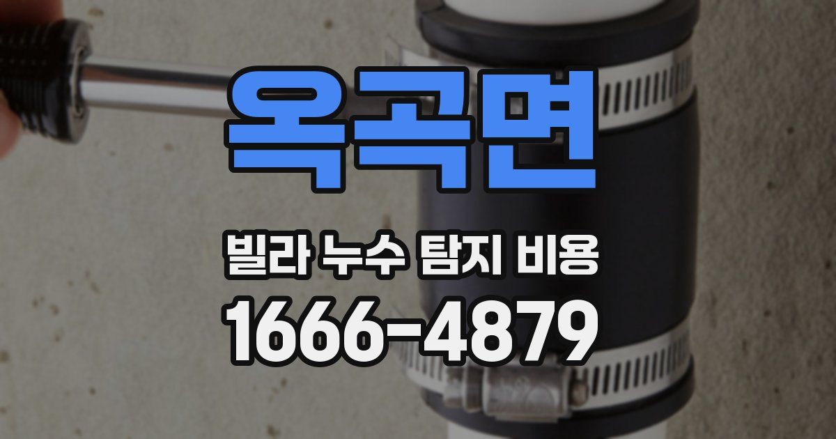옥곡면 빌라 누수 탐지 비용