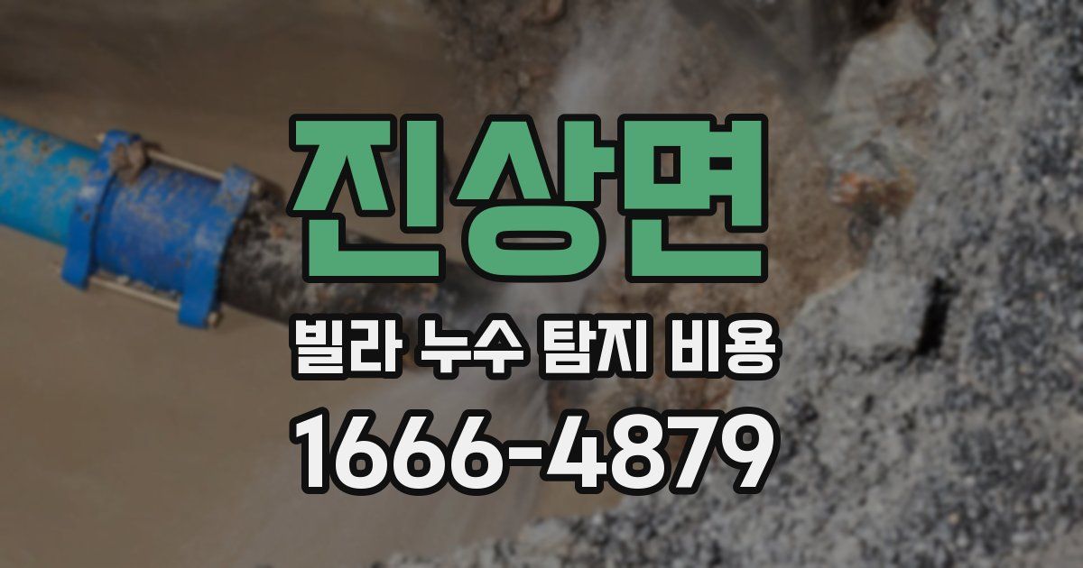 진상면 빌라 누수 탐지 비용