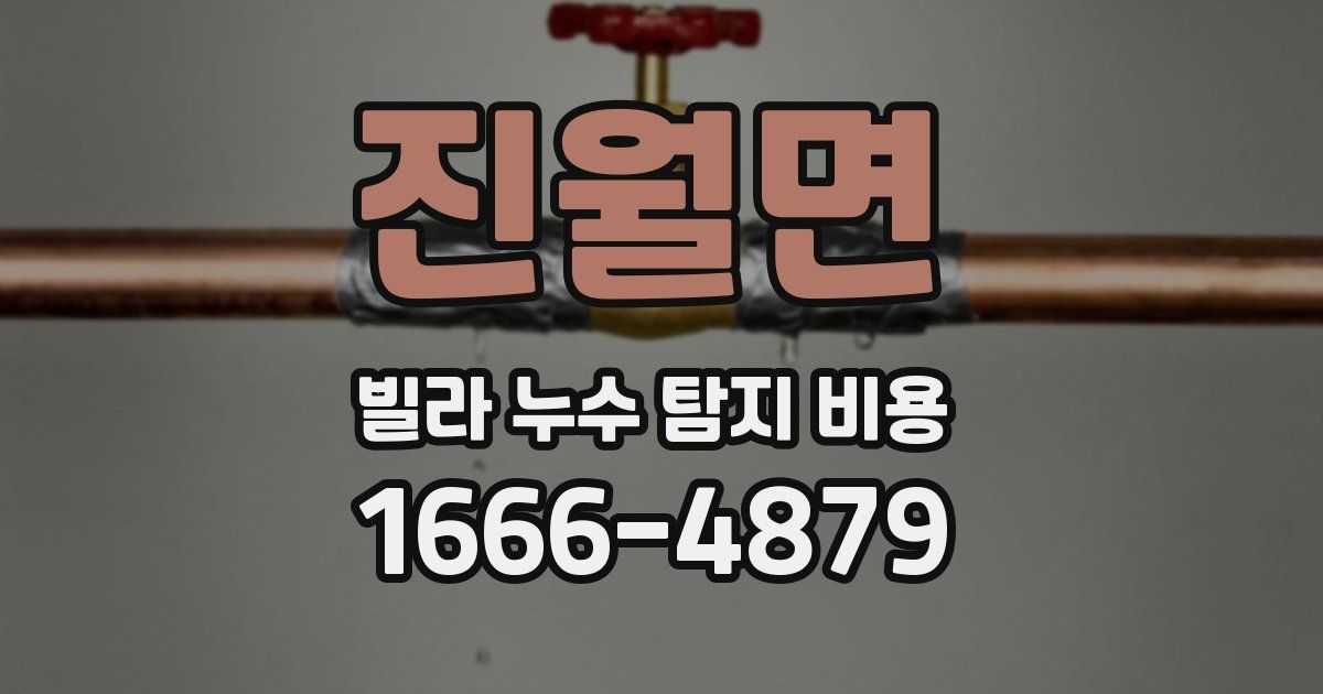 진월면 빌라 누수 탐지 비용