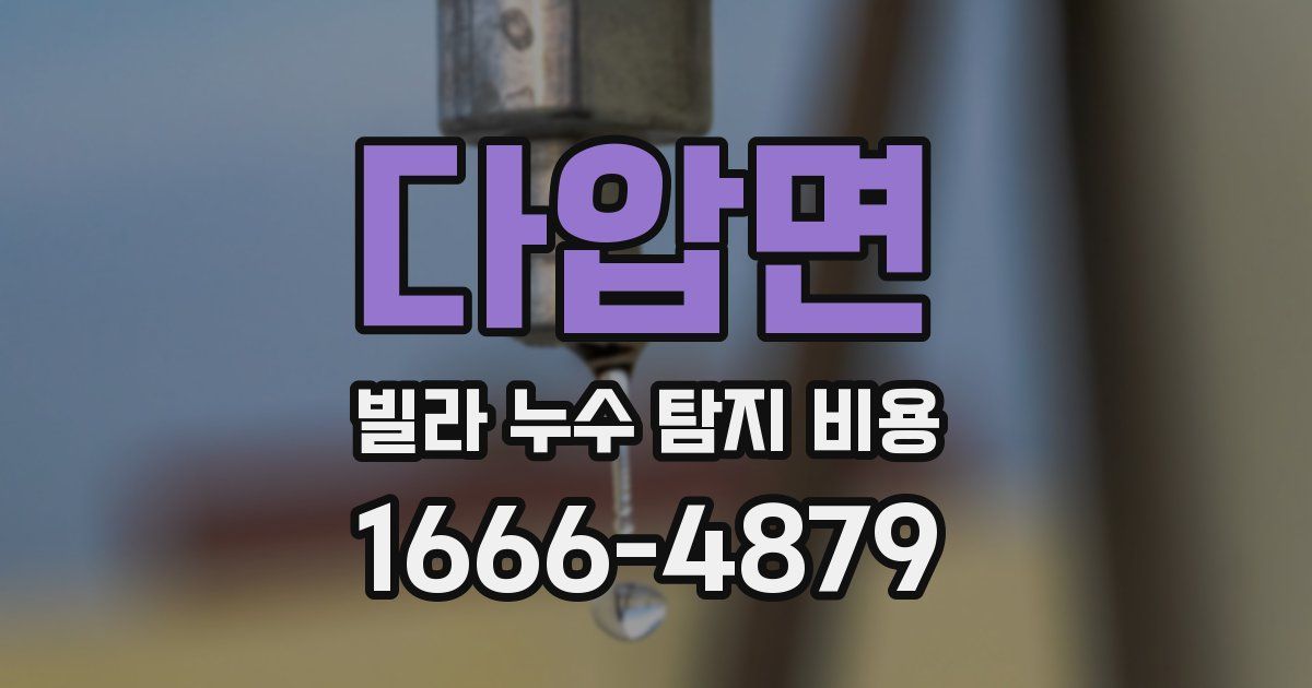 다압면 빌라 누수 탐지 비용