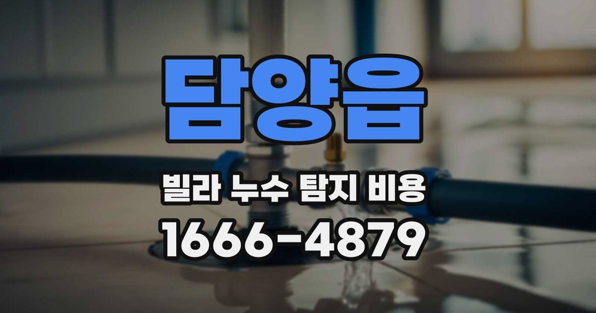 담양읍 빌라 누수 탐지 비용