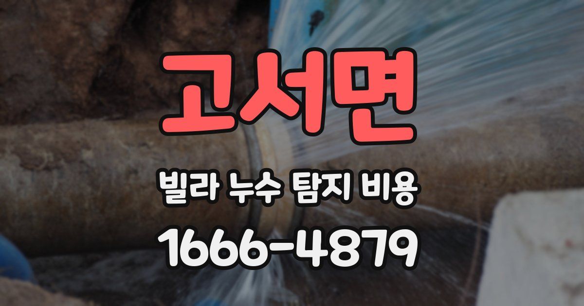 고서면 빌라 누수 탐지 비용